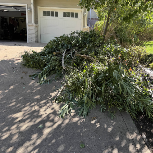 Yard waste removal services
